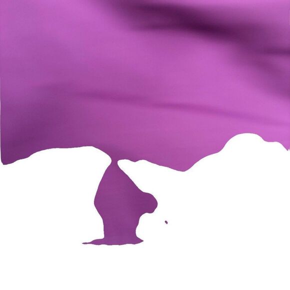 Helly Hansen Nylon Jacket Purple Large - Picture 6 of 9